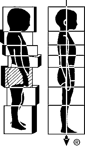 Rolf Institute logo